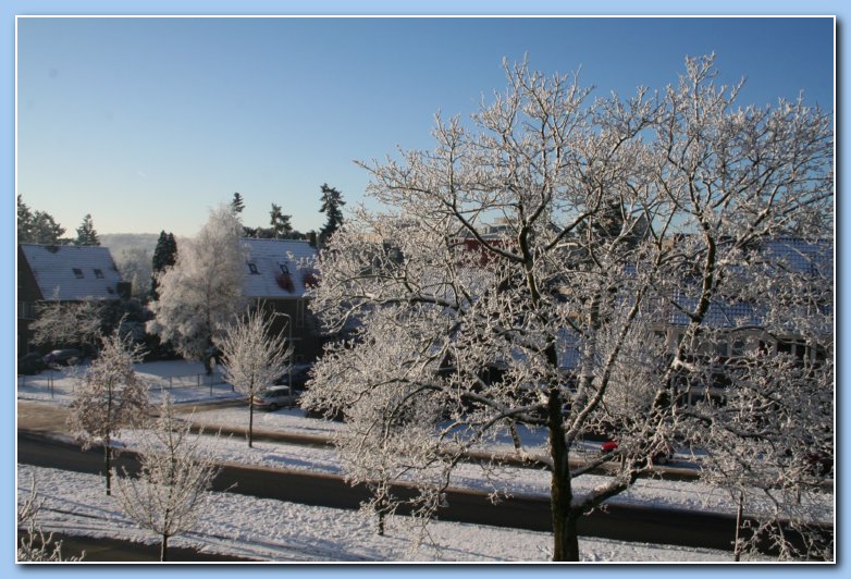 Arnhem Snow 109